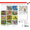 image Birds Backyard WWF 2025 Wall Calendar First Alternate Image width=&quot;1000&quot; height=&quot;1000&quot;