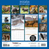 image Wildlife Special Value 2025 Wall Calendar