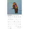 image Hummingbirds Special Value 2026 Mini Wall Calendar Fourth Alternate Image