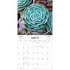 image Succulents Photo 2025 Wall Calendar Second Alternate Image