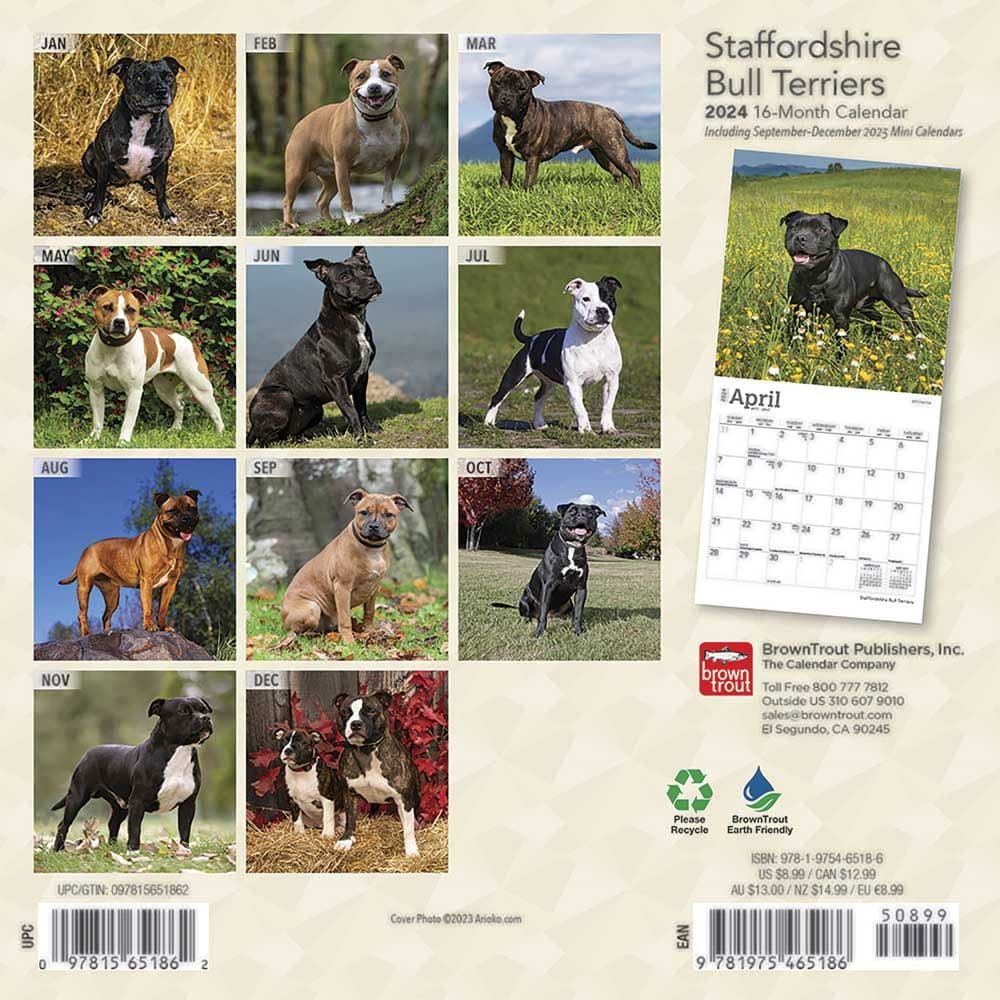 Staffordshire Bull Terriers 2024 Mini Wall Calendar