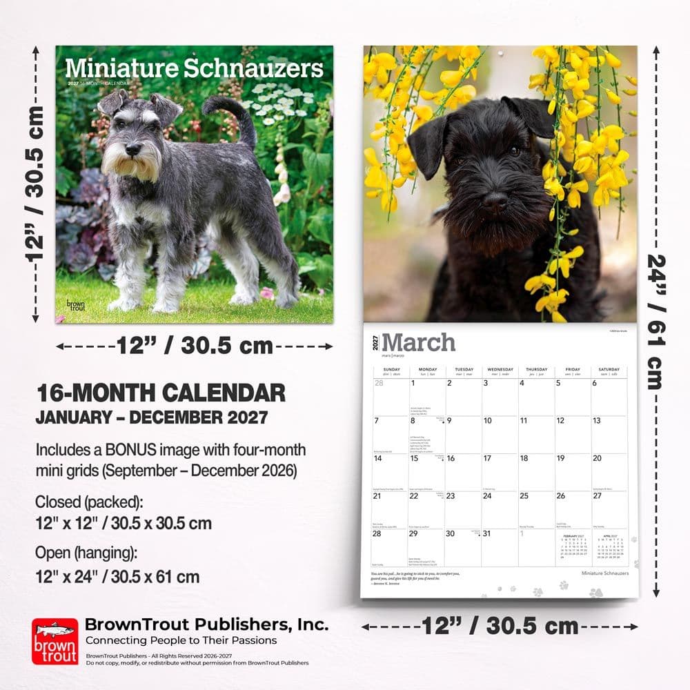 Schnauzers 2027 Wall Calendar Sixth Alternate Image