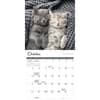 image Kittens 2025 Mini Wall Calendar Fourth Alternate Image width=&quot;1000&quot; height=&quot;1000&quot;