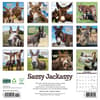 image Sassy Jackassy 2025 Wall Calendar First Alternate Image width="1000" height="1000"