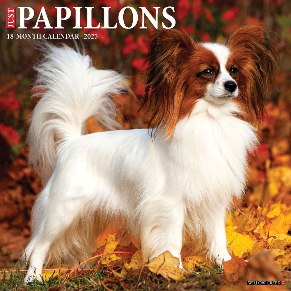 Just Papillons 2025 Wall Calendar