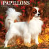 image Just Papillons 2025 Wall Calendar Main Image