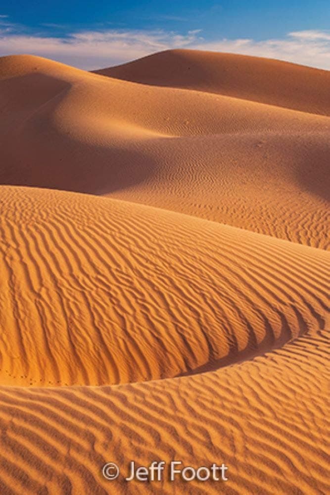 Sierra Club Engagement - Calendars.com