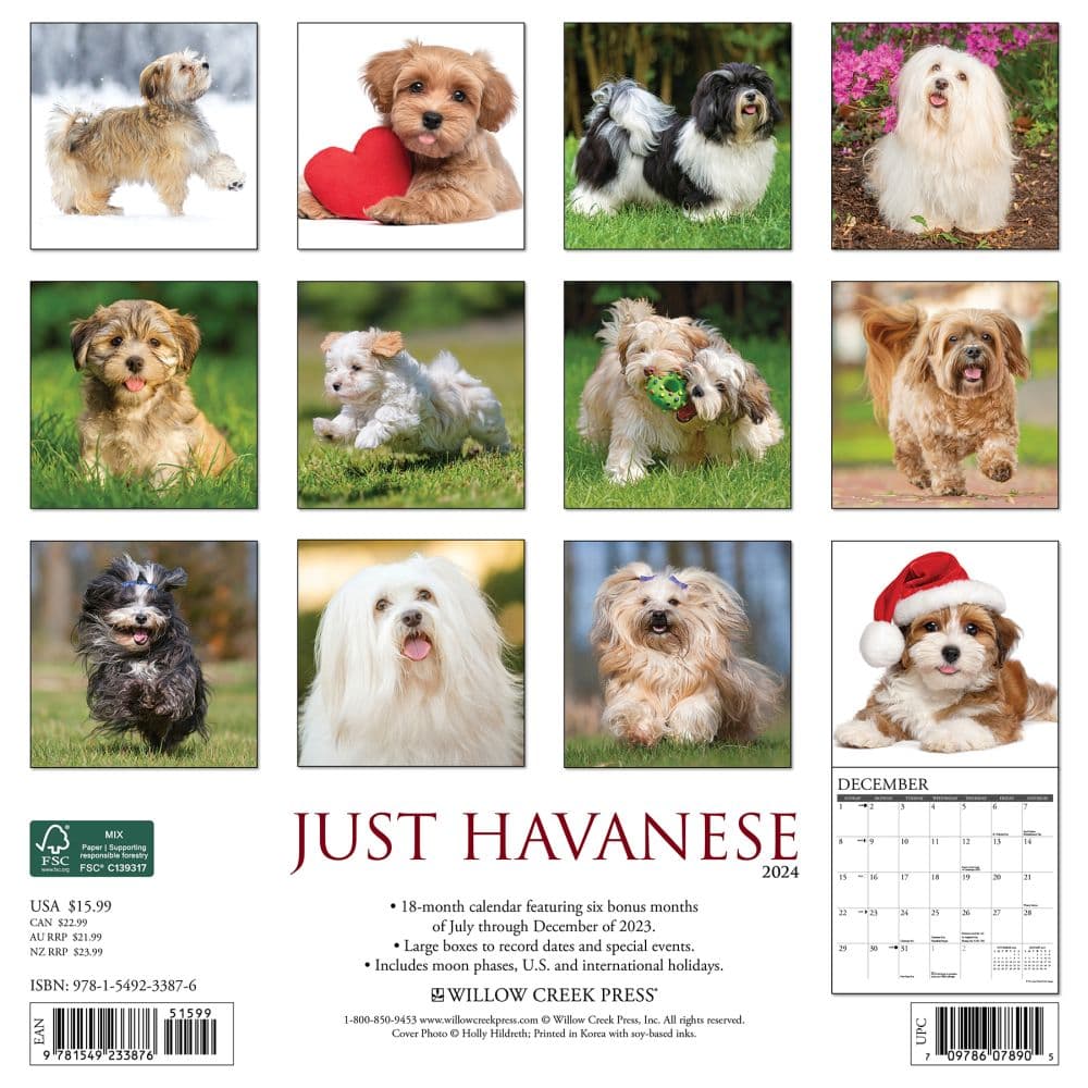 Just Havanese 2024 Wall Calendar
