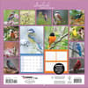 image Songbirds 2024 Wall Calendar First Alternate  Image width=&quot;1000&quot; height=&quot;1000&quot;