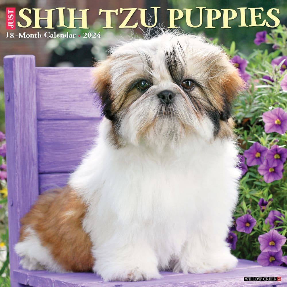 Just Shih Tzu Puppies 2024 Wall Calendar Main Image