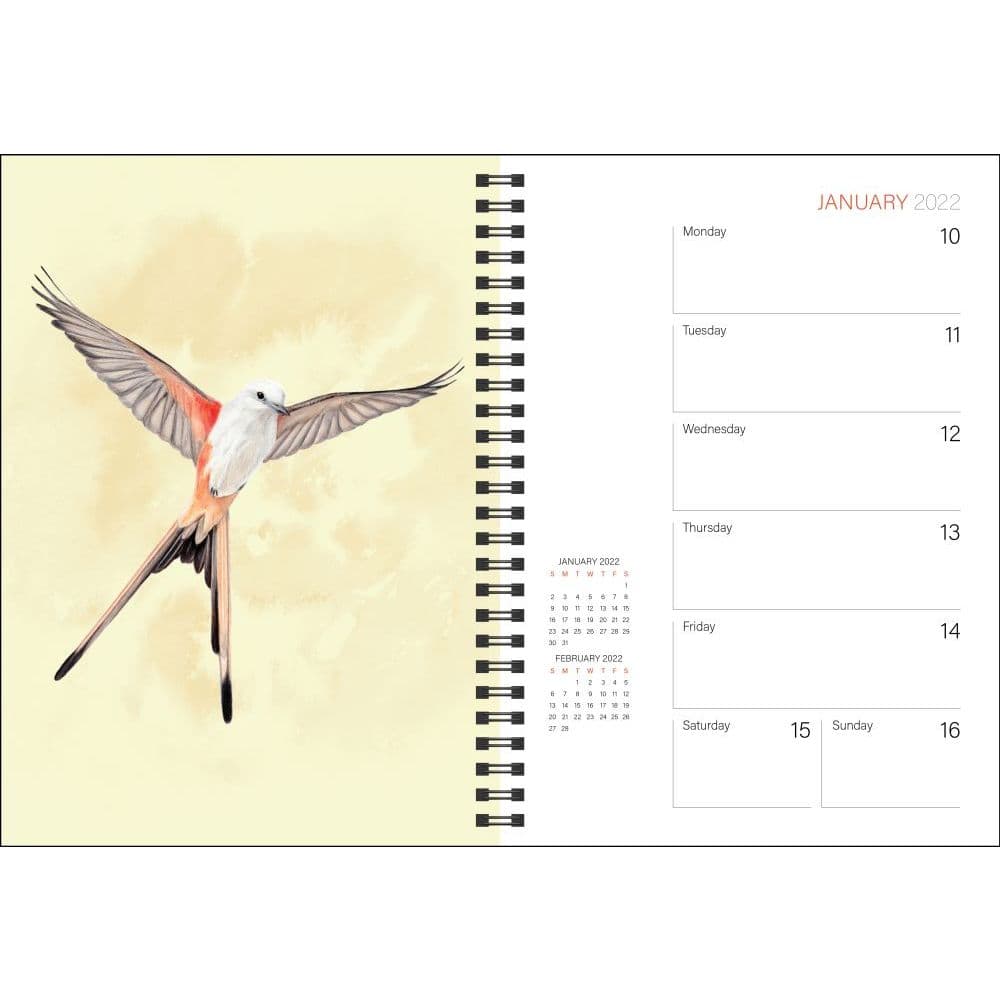 Birds of the World The Birds of Wingspan 2022 Engagement Calendar -  Calendars.com