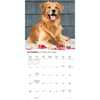 image Golden Retrievers 2026 Wall Calendar Fourth Alternate Image