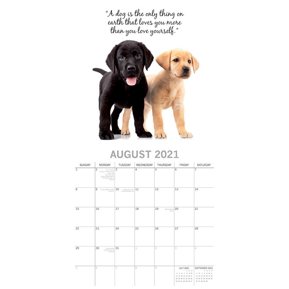 Dogs Adorable Wall Calendar