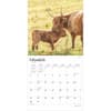 image Highland Cows 2025 Wall Calendar Second Alternate Image