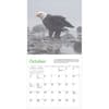 image Audubon Eagles 2026 Mini Wall Calendar Fourth Alternate Image