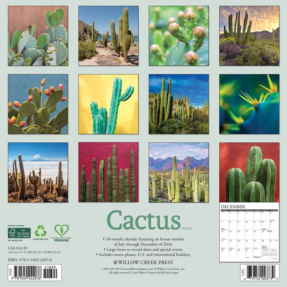 Cactus 2025 Wall Calendar First Alternate Image width="1000" height="1000"