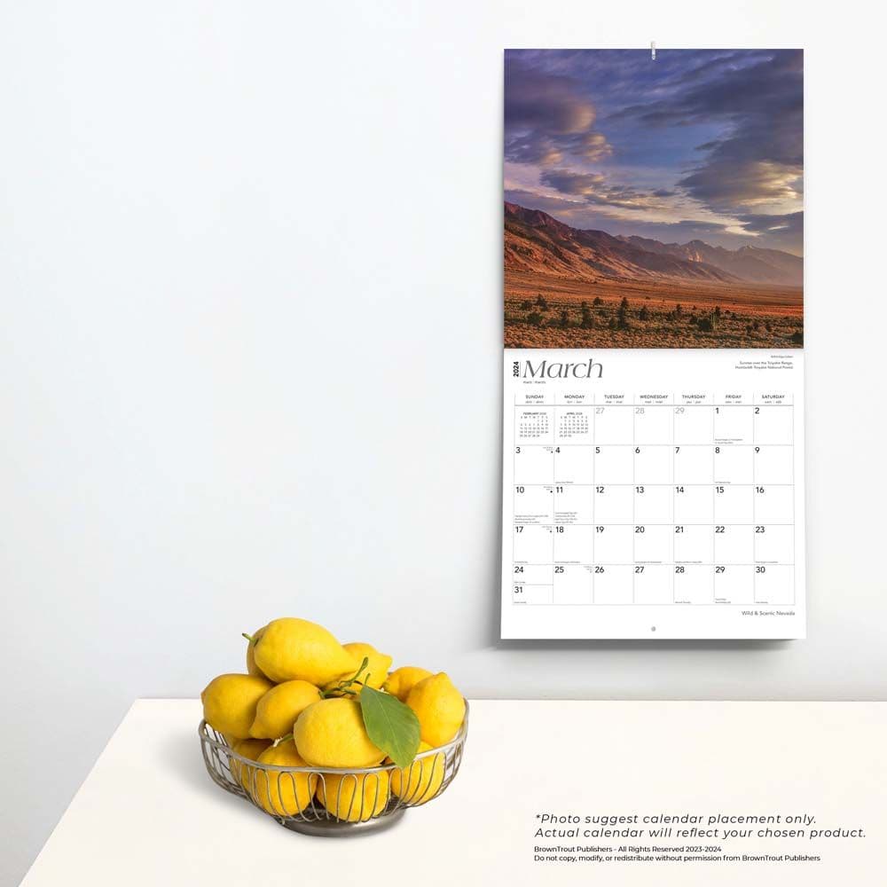 Nevada Wild and Scenic 2024 Wall Calendar