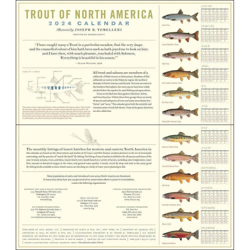 Trout of North America 2024 Wall Calendar