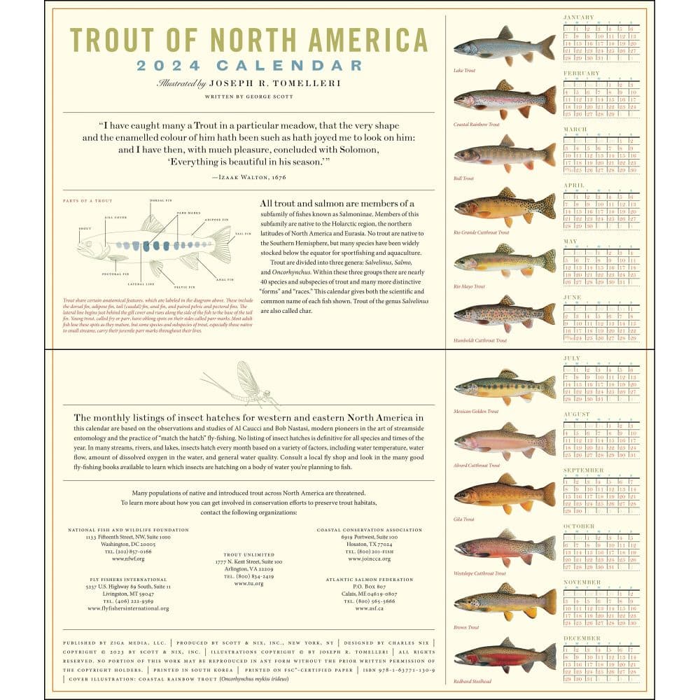 trout-of-north-america-2024-wall-calendar-calendars