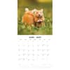 image Hamsters 2027 Wall Calendar Second Alternate Image