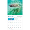 image Sharks Mini 2026 Wall Calendar Third Alternate Image