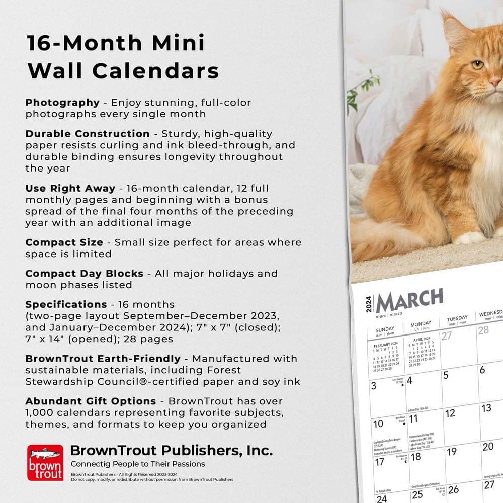 Cats 2024 Mini Wall Calendar Fourth Alternate Image width=&quot;1000&quot; height=&quot;1000&quot;