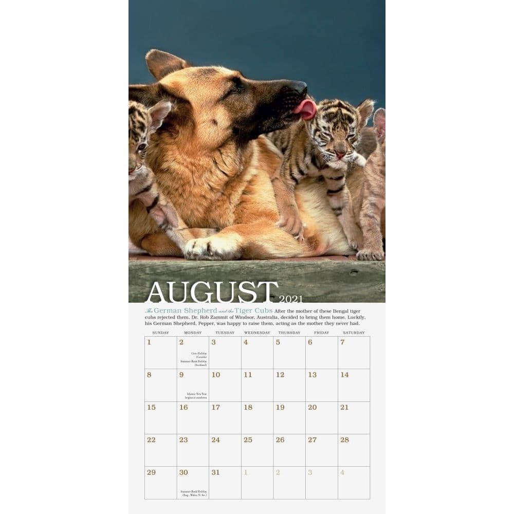 Unlikely Friendships Mini Wall Calendar