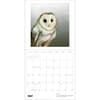 image Owls 2027 Wall Calendar by Jeannine Chappel Sixth Alternate Image
