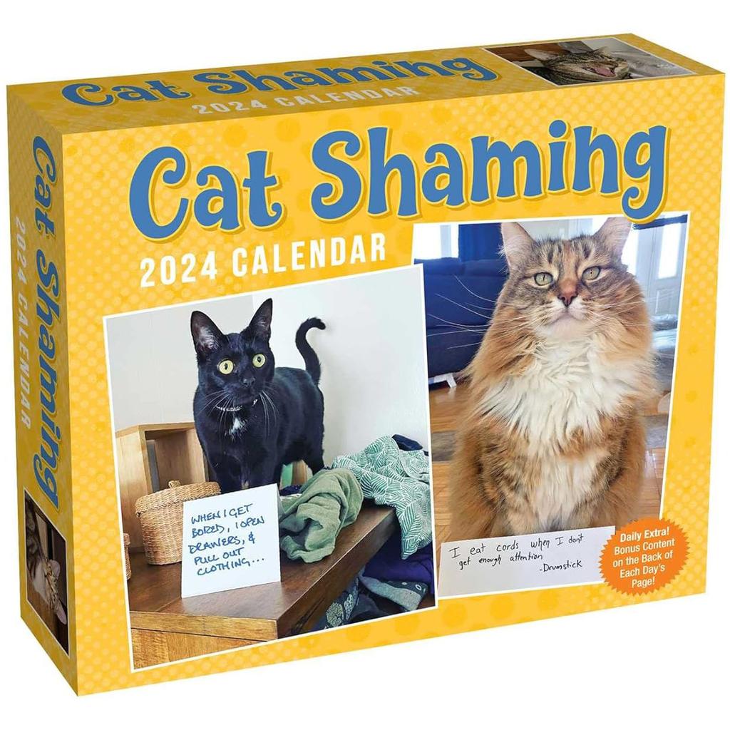 Cat Shaming 2024 Desk Calendar front of Box