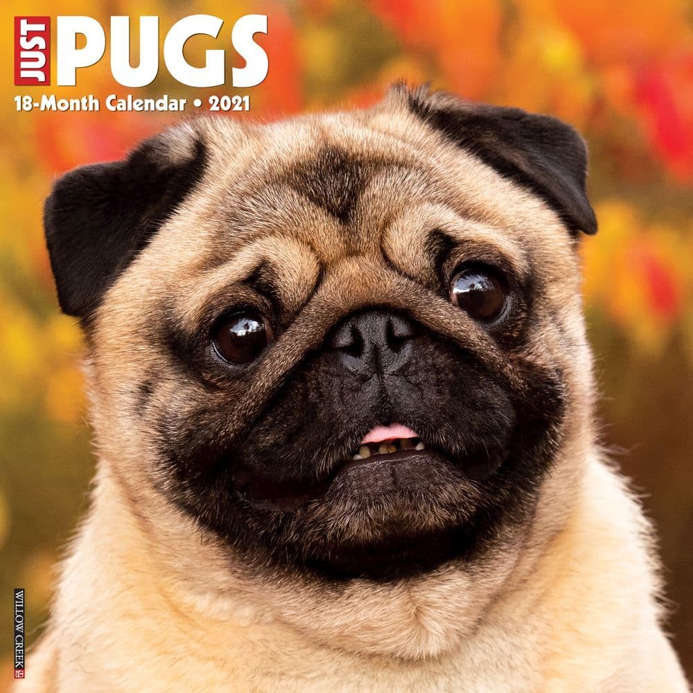 Just Pugs Wall Calendar - Calendars.com