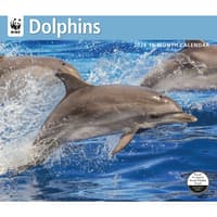 image Dolphins WWF 2026 Wall Calendar Main Image