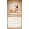 image Yoga Puppies Plato 2025 Wall Calendar Third Alternate Image