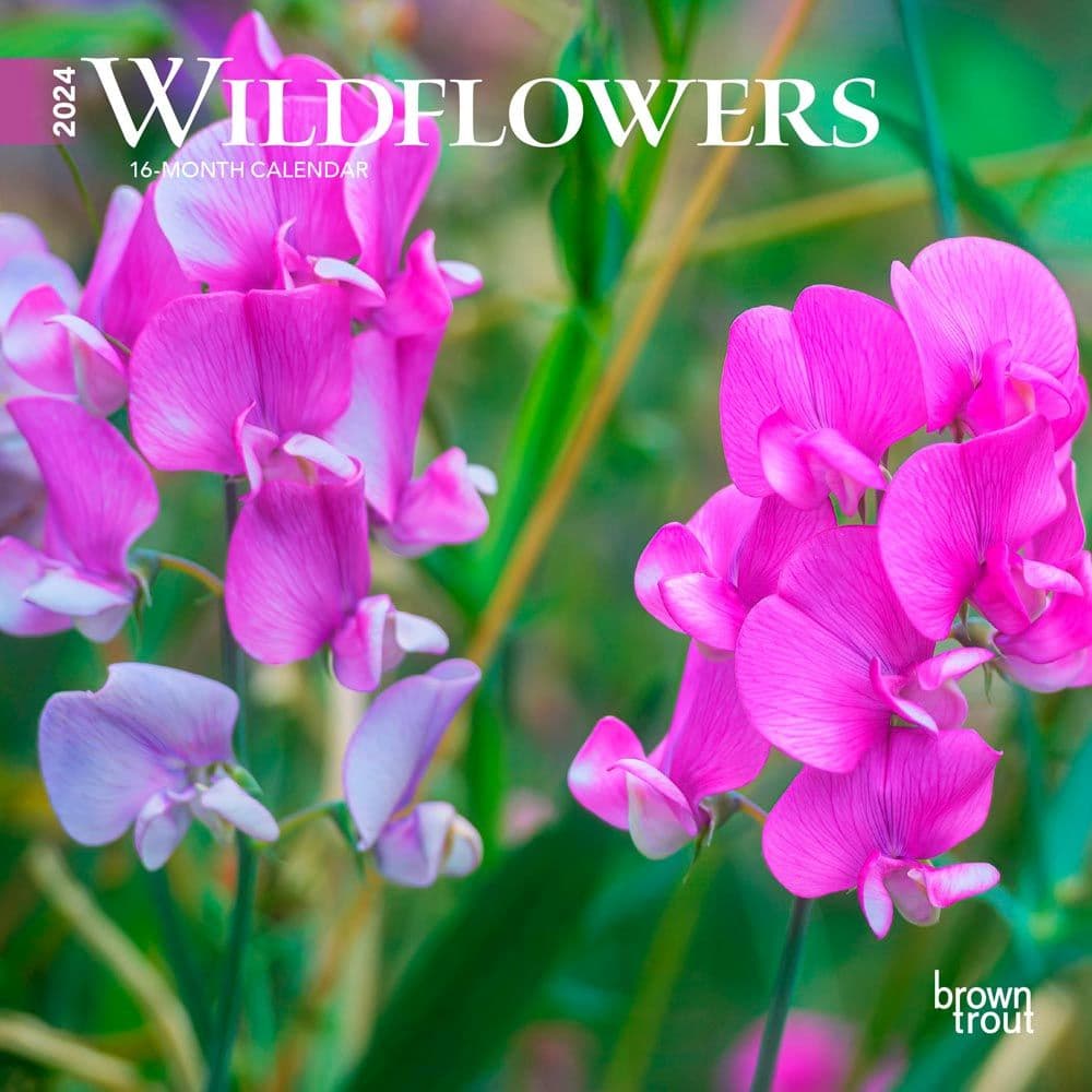 Wildflowers 2024 Mini Wall Calendar Main Product Image width=&quot;1000&quot; height=&quot;1000&quot;