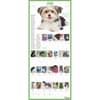 image 365 Puppies-A-Year Picture-A-Day 2027 Wall Calendar Third Alternate Image
