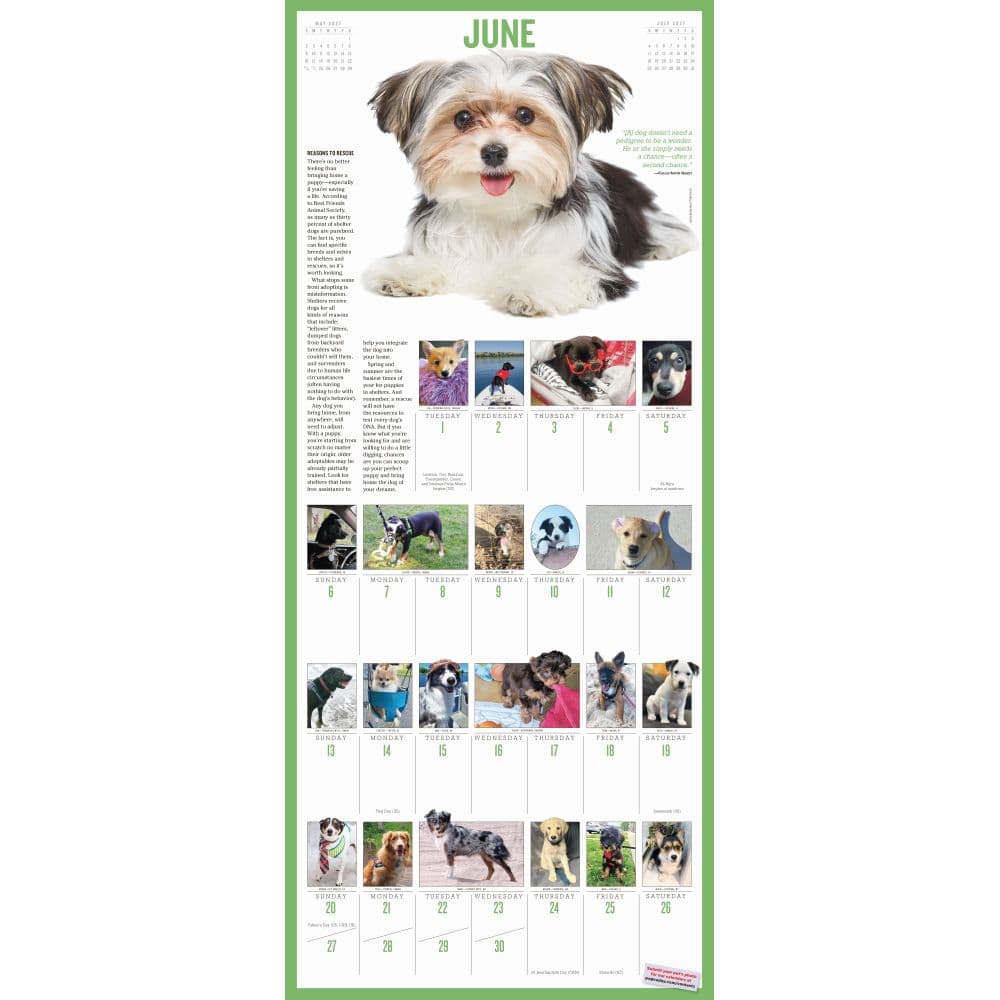365 Puppies-A-Year Picture-A-Day 2027 Wall Calendar Third Alternate Image