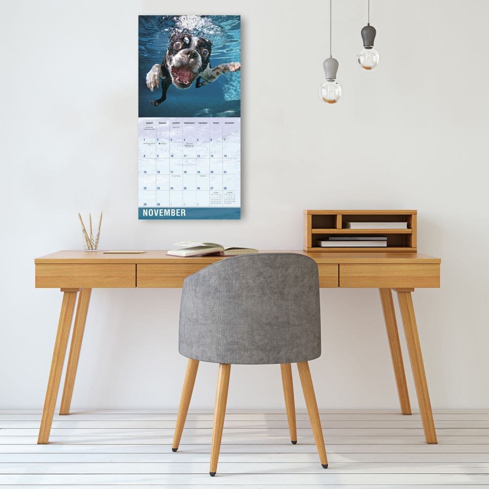 Underwater Dogs 2026 Wall Calendar Fourth Alternate Image
