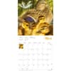 image Beautiful Babies 2025 Wall Calendar Second Alternate Image