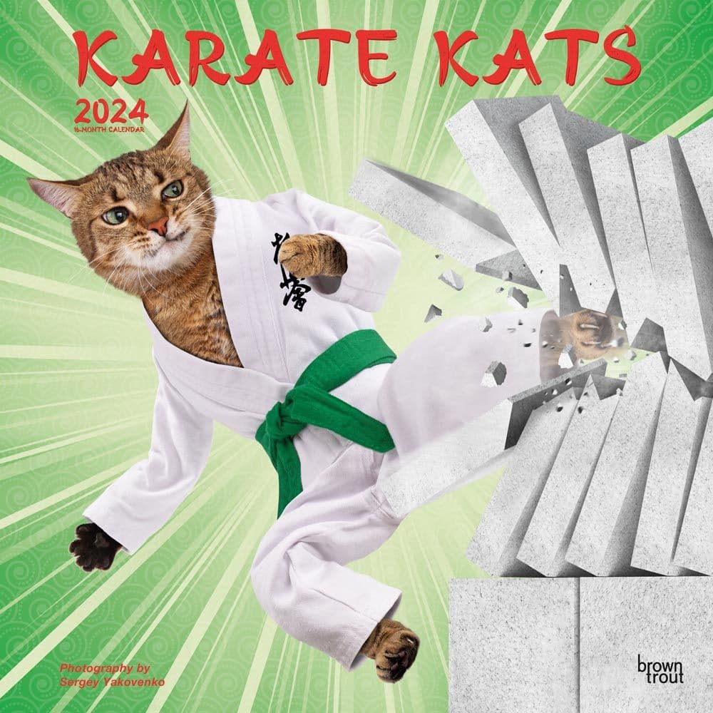 Karate Cats 2025 Wall Calendar