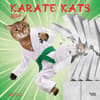 image Karate Cats 2024 Wall Calendar Main Product Image width=&quot;1000&quot; height=&quot;1000&quot;