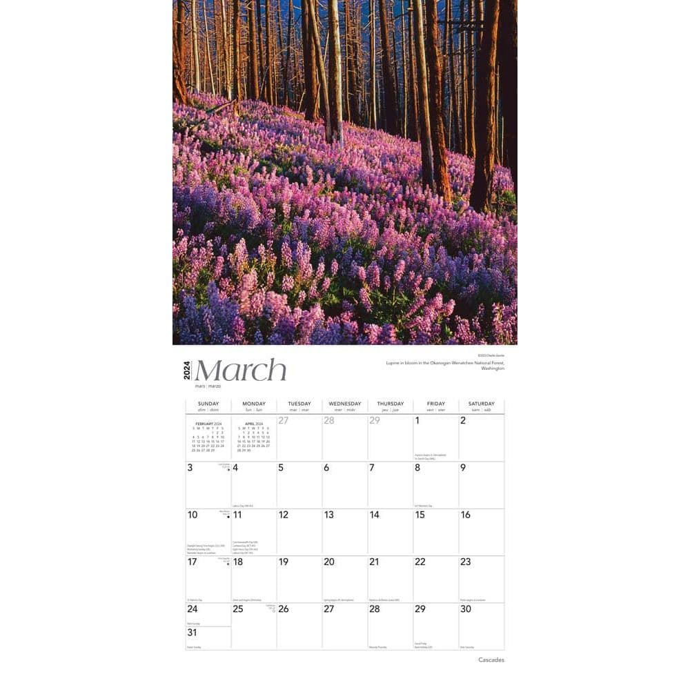 Cascades 2024 Wall Calendar