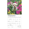 image Chihuahua Puppies 2025 Mini Wall Calendar