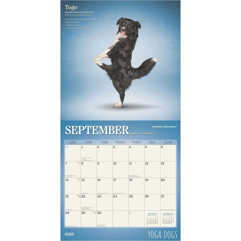 Yoga Dogs 2025 Wall Calendar Third Alternate Image