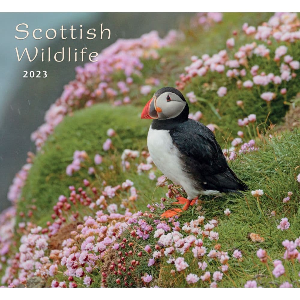 Colin Baxter Photography Scottish Wildlife 2023 Wall Calendar