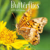 image Butterflies 2027 Mini Wall Calendar