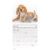 image Buddies 2025 Mini Wall Calendar Second Alternate Image width=&quot;1000&quot; height=&quot;1000&quot;