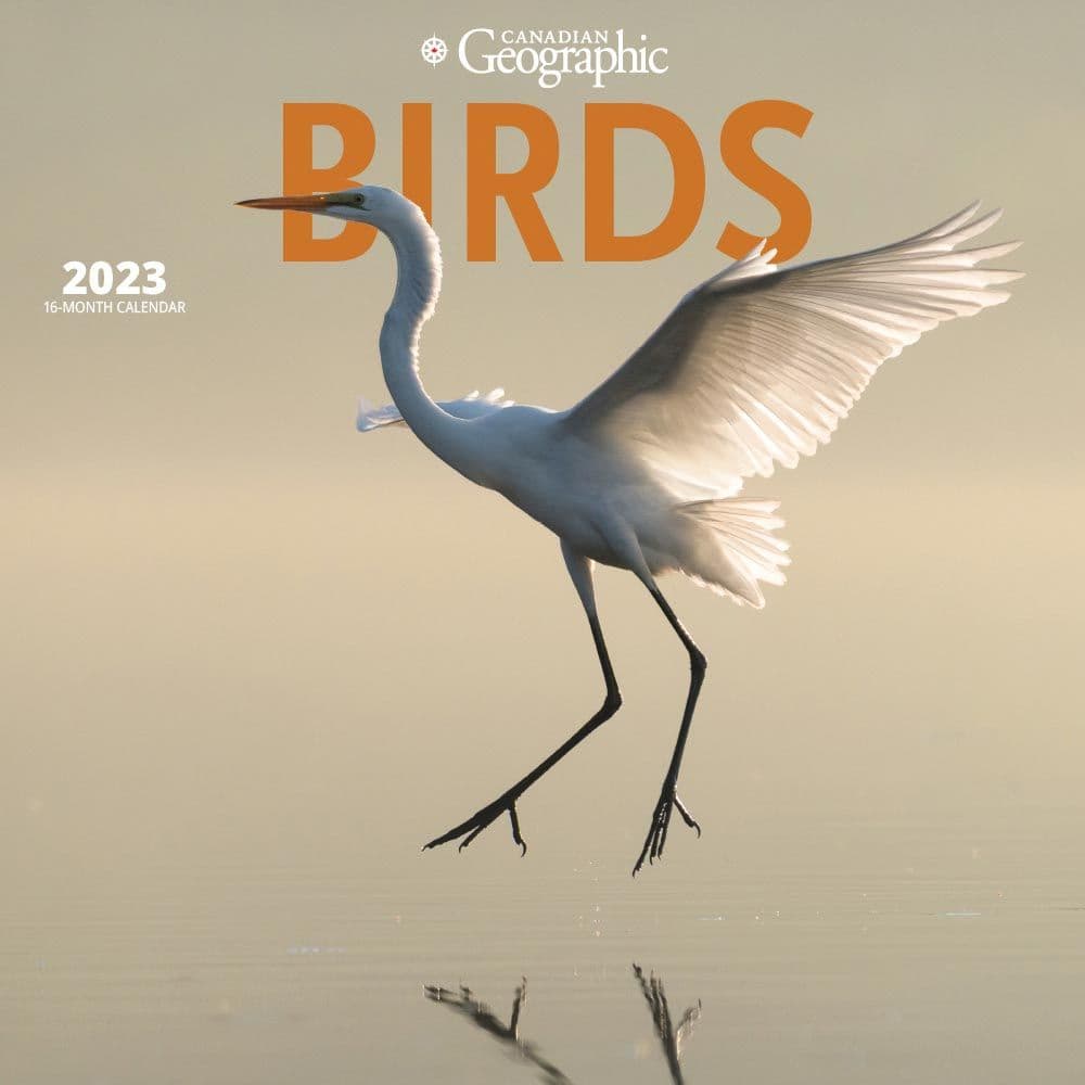 Birds 2023 Wall Calendar