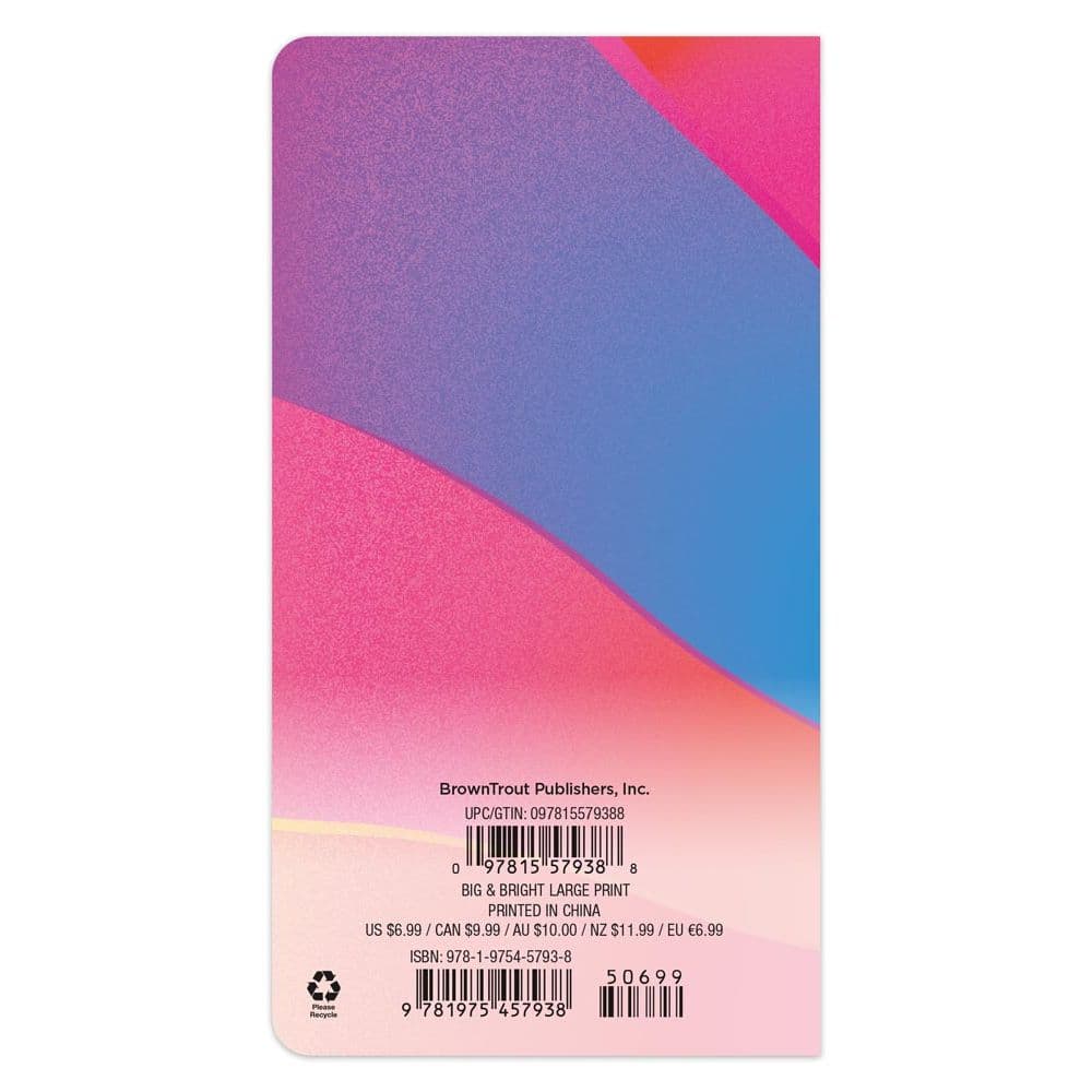 Large Print Pocket 2024 Planner