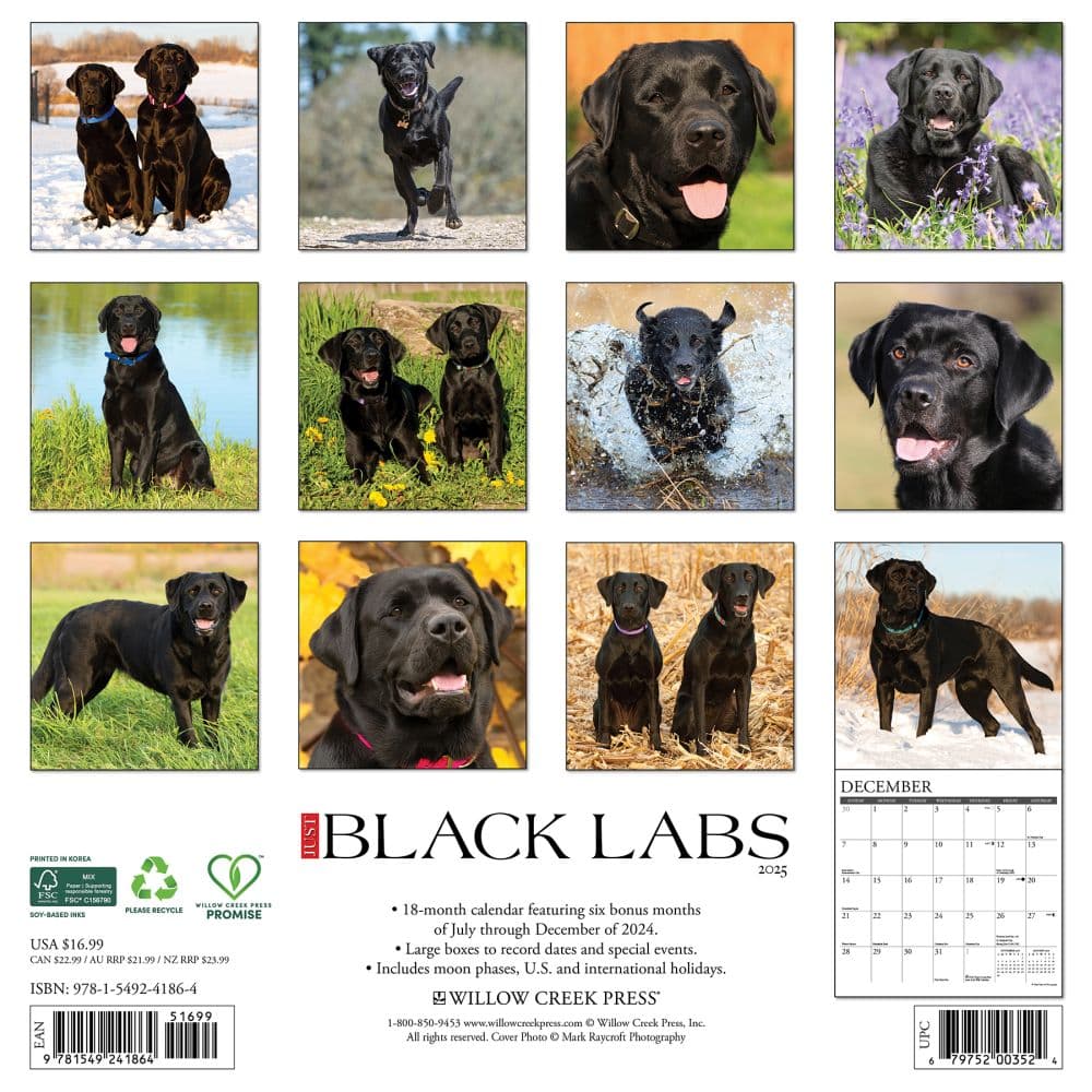 Just Black Labs 2025 Wall Calendar First Alternate Image width=&quot;1000&quot; height=&quot;1000&quot;