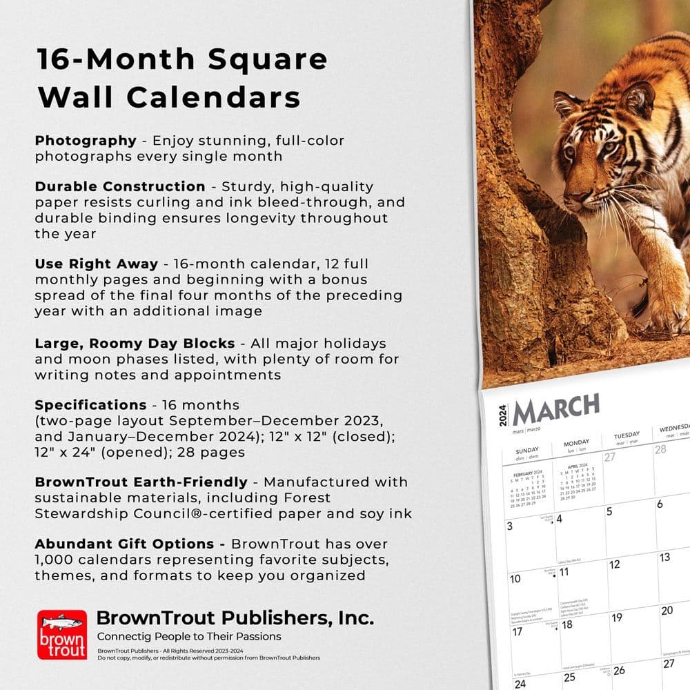 Tigers 2024 Wall Calendar Fourth  Alternate Image width=&quot;1000&quot; height=&quot;1000&quot;