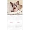 image Curious Kittens 2026 Wall Calendar_ALT2